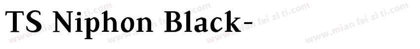 TS Niphon Black字体转换